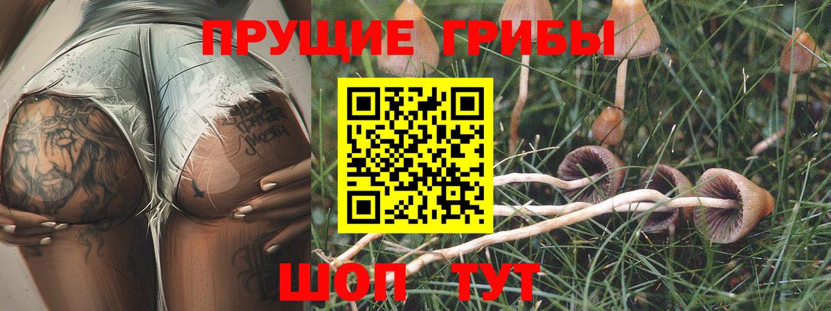 Псилоцибиновые грибы Cubensis  Галлюциногенные грибы Psilocybe  Удомля  Вход с VPN 