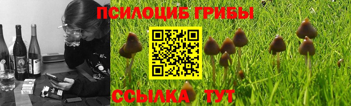 Псилоцибиновые грибы ЛСД Удомля